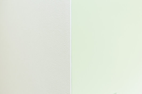 s0009
